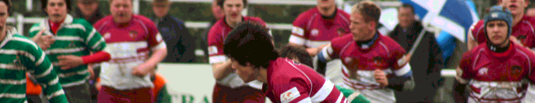 Header 12.gif